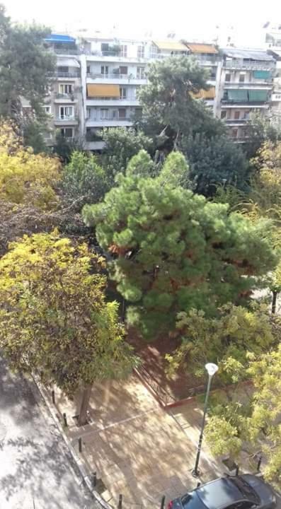 Sylvia' S Apartments Athens Exterior photo